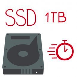 Réparation Disque Dur SSD 1TB Mac Mini 2012 - 2014